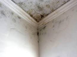 Best Post-Construction Mold Inspection in USA